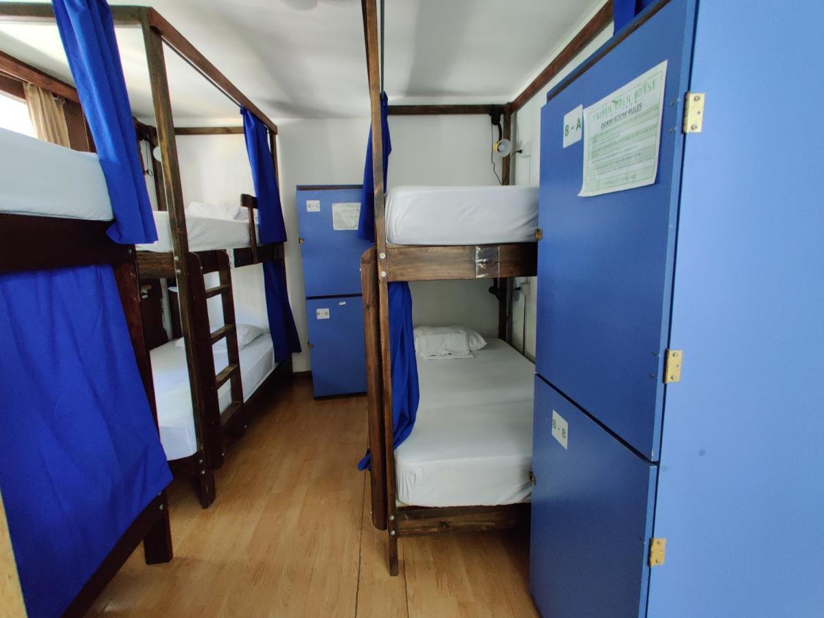 Tripon Open House Hostel Сан Хосе Екстериор снимка