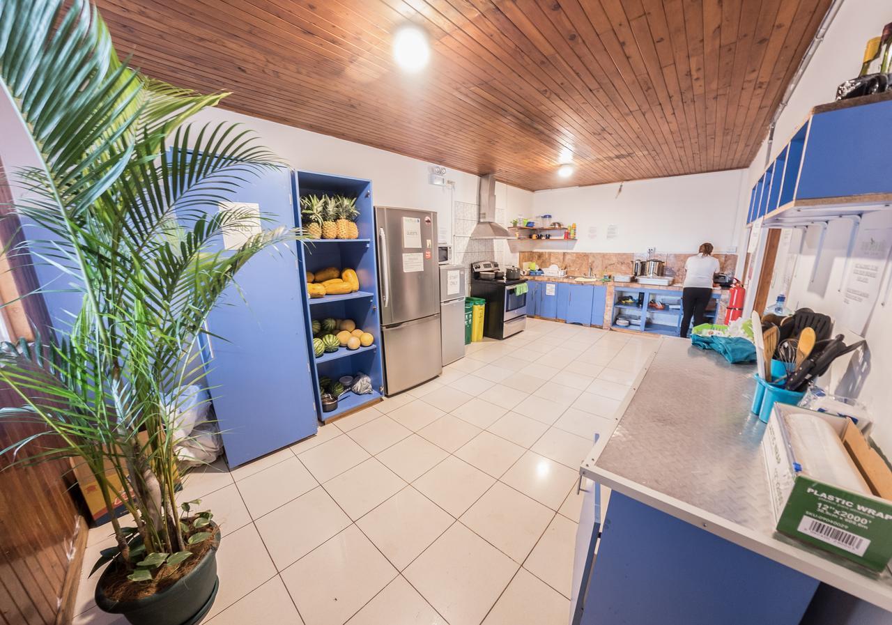 Tripon Open House Hostel Сан Хосе Екстериор снимка
