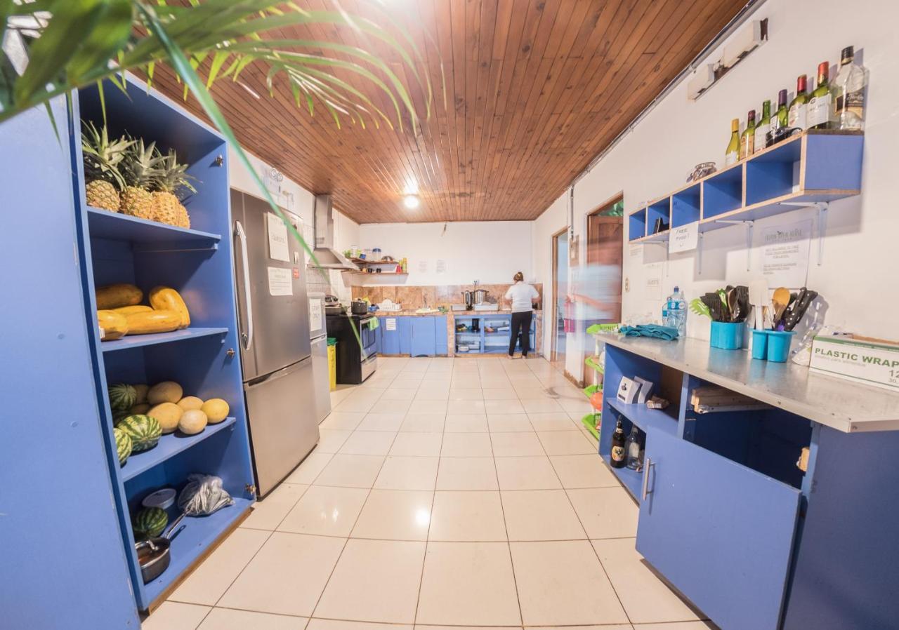 Tripon Open House Hostel Сан Хосе Екстериор снимка