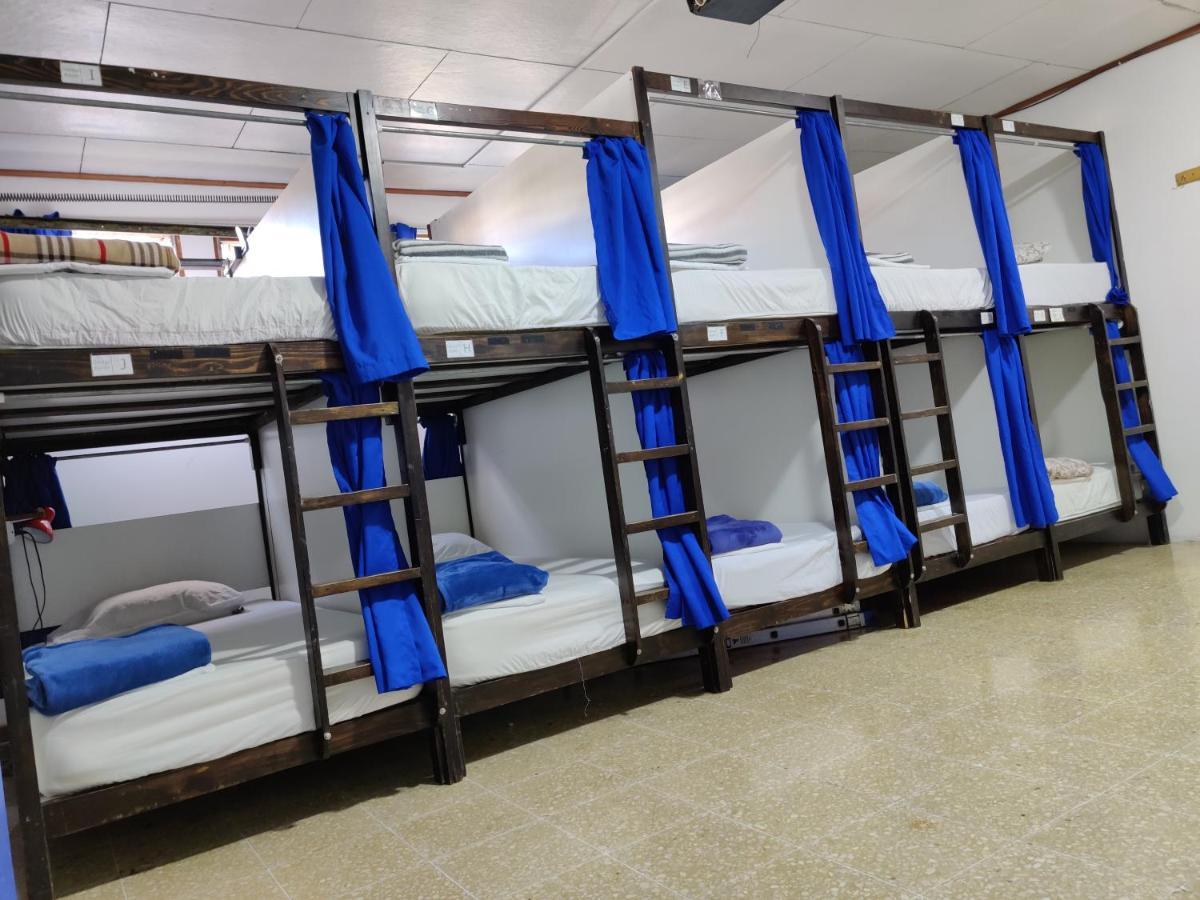 Tripon Open House Hostel Сан Хосе Екстериор снимка